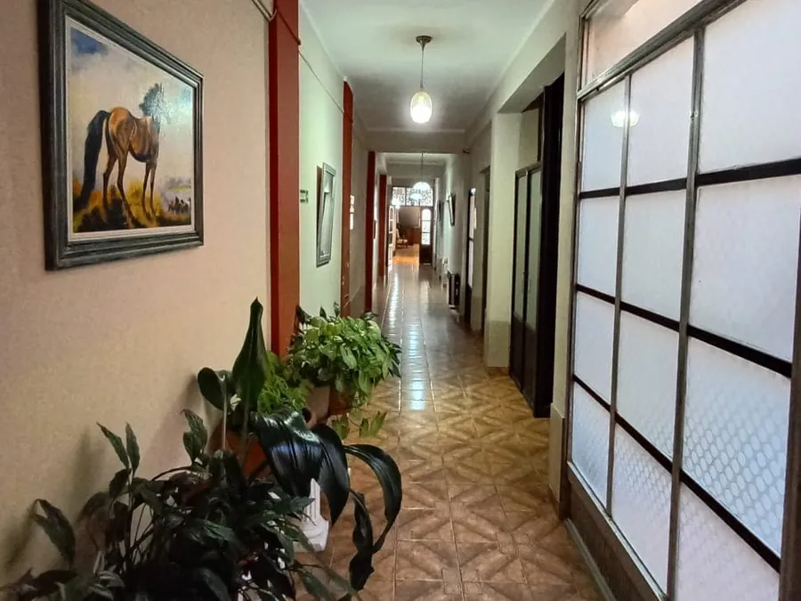 Pasillo de habitaciones con plantas y cuadros